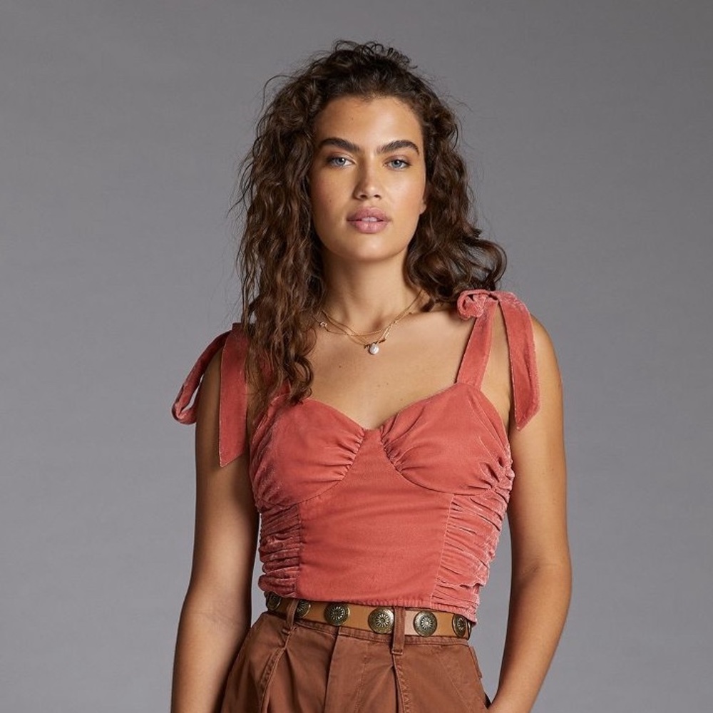 Corset seamed velvet top